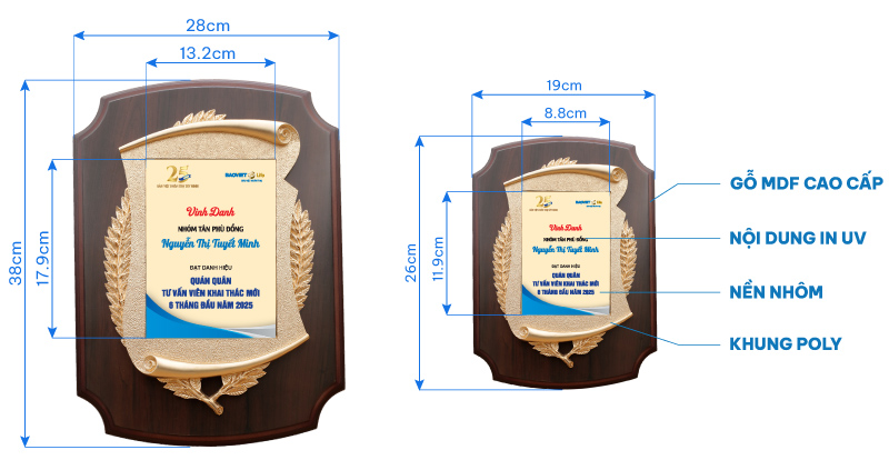 kỷ niệm chương, bảng vinh danh gỗ đồng khung poly