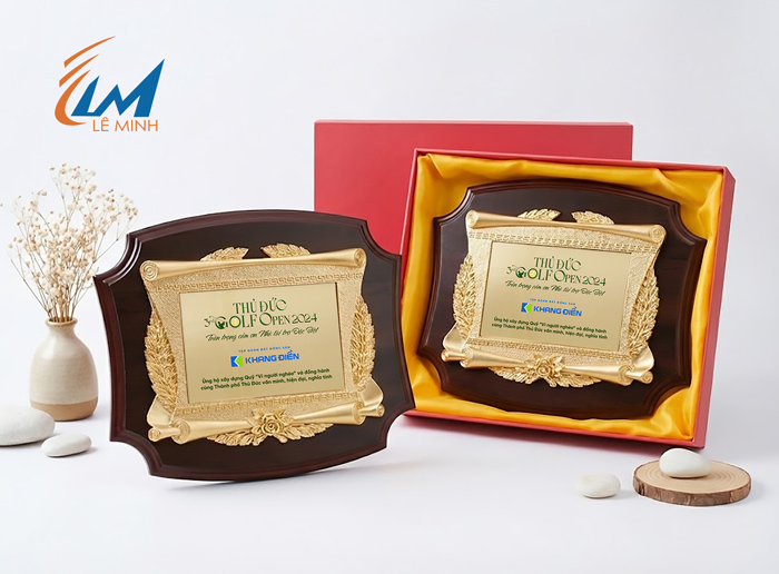 Kỷ niệm chương gỗ đồng khung poly ngang