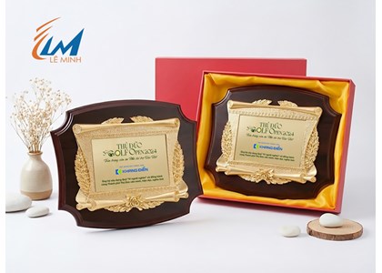 Kỷ niệm chương gỗ đồng khung poly ngang