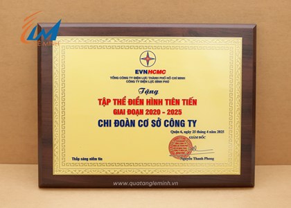 Quà tặng gỗ đồng cao cấp
