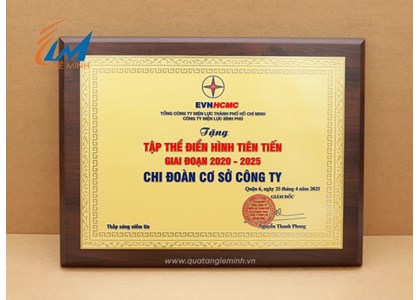 Quà tặng gỗ đồng cao cấp